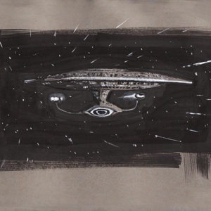 U.S.S. Enterprise D © Paramount